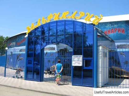 Dolphinarium description and photo - Russia - South: Yeisk