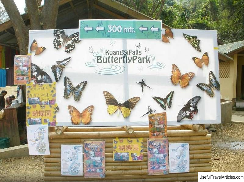 Kuang Si Butterfly Park description and photos - Laos: Luang Prabang