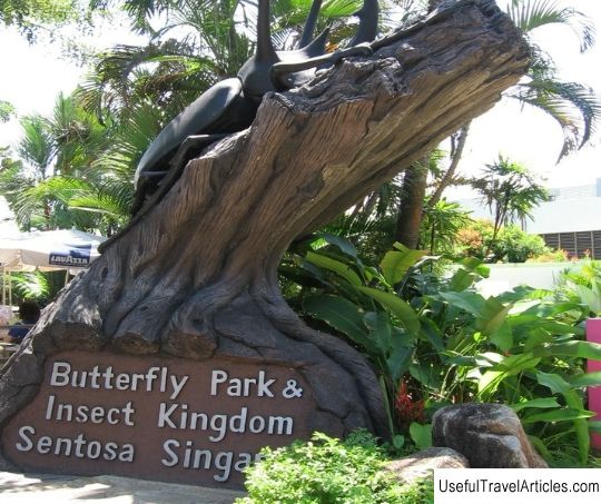 Butterfly Park and Insect Kingdom description and photos - Singapore: Sentosa