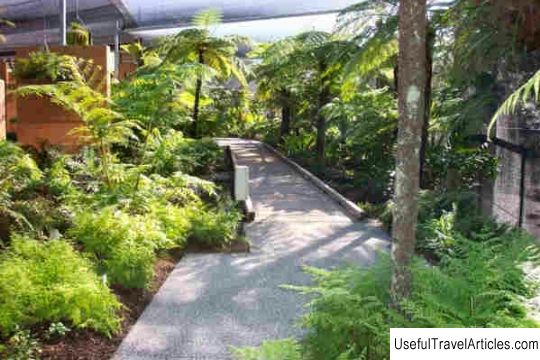 The Brisbane Botanic Gardens description and photos - Australia: Brisbane and the Sunshine Coast