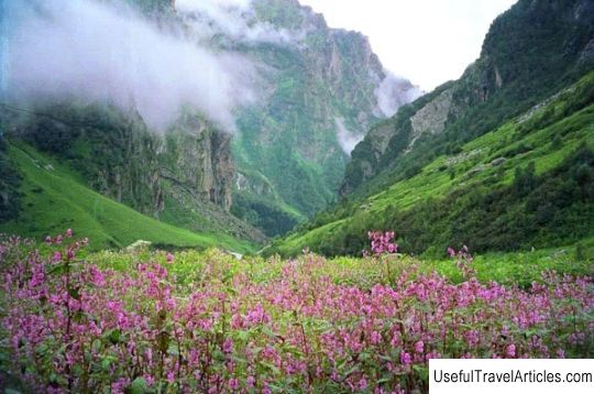 Nanda Devi National Park description and photos - India: Uttarakhand