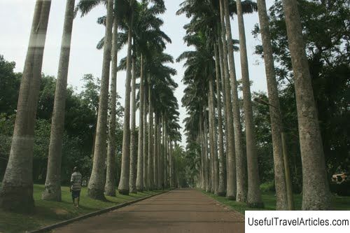 Aburi Botanical Garden description and photos - Ghana: Accra