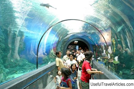 Aquarium (Aquarium) description and photos - Thailand: Phuket Island