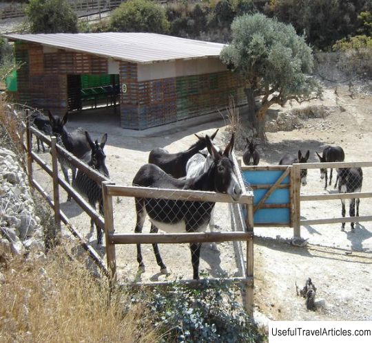 Cyprus Donkey Sanctuary in Vouni park description and photos - Cyprus: Limassol
