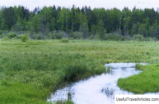 Nature reserve ”Syabersky” description and photo - Russia - Leningrad region: Luga district