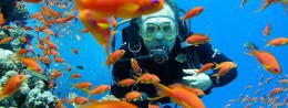 Diving Egypt FAQ