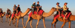 Camel Riding in Egypt