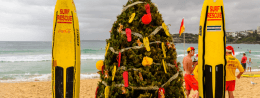 How Christmas is celebrated in Australia. Christmas traditions in Australia