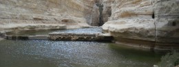 Ein Avdat National Park in Israel, Negev Desert Resort