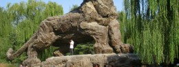 Beijing Zoo in China, Beijing Resort
