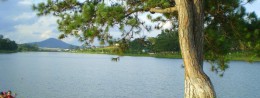 Xuan Huong Lake in Vietnam, Dalat Resort