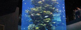 Oceanarium in China, Qingdao Resort