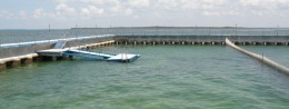 Dolphinarium in Cuba, Varadero resort