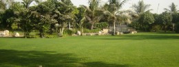 Zabeel park in the UAE, Dubai resort