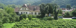 Weissenkirchen in der Wachau wine village in Austria, Lower Austria