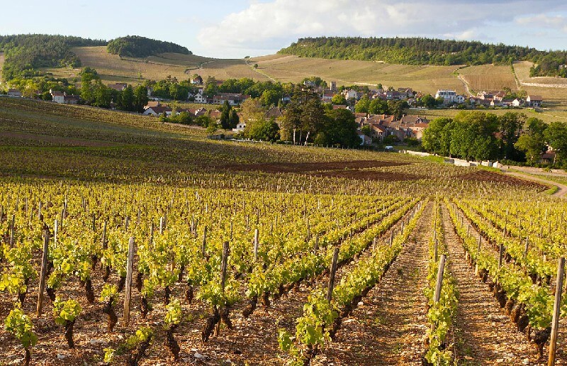 Geography and climate in Burgundy