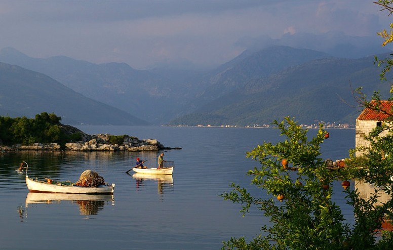 Geography and climate in Tivat