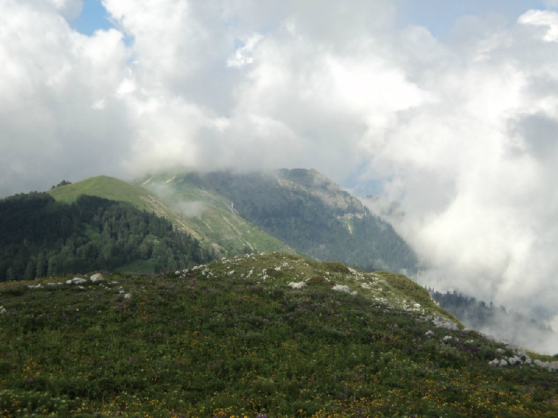 Geography and climate in Gagra