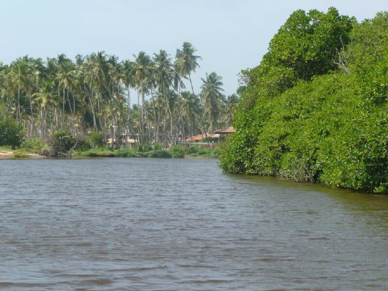 Geography and climate in Negombo
