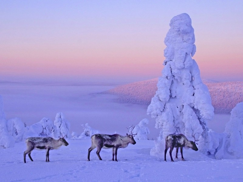 Geography and climate in Lapland